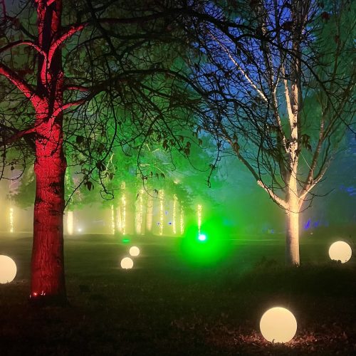 Review: Glow at RHS Wisley Gardens