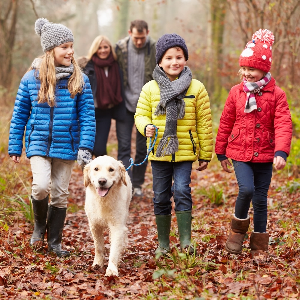 The best winter walks with pubs in Surrey