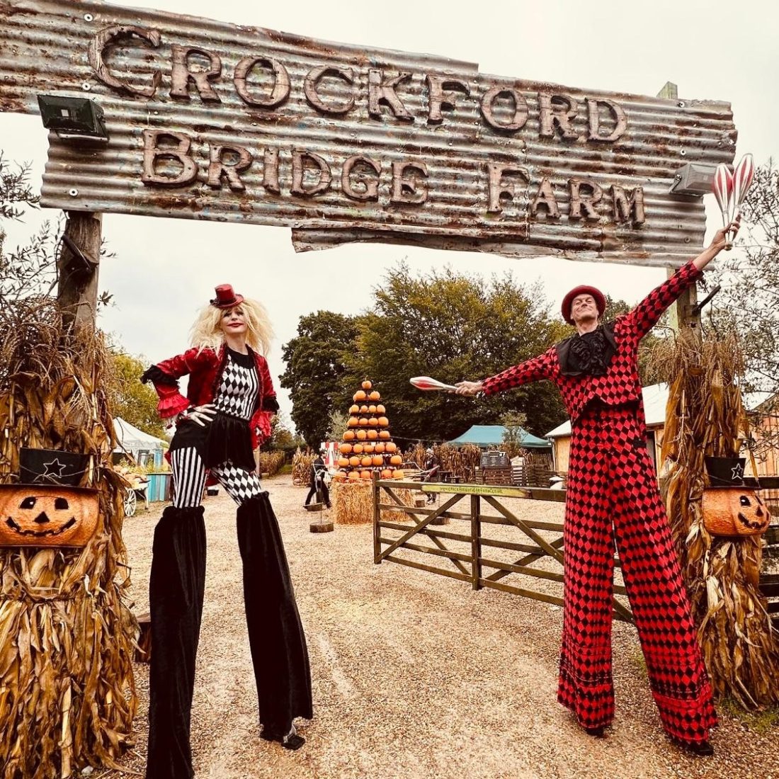 Five reasons to visit Crockford Bridge Farm’s Pumpkin Festival