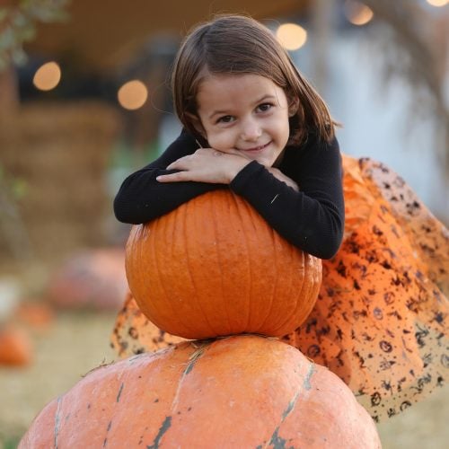 Good gourd! The best spots to p-p-p-pick pumpkins in Surrey