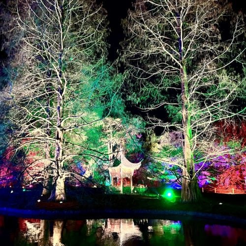 Shine bright! 10 reasons to visit RHS Glow at Wisley