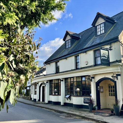 Review: Stepping Stones Country Pub, near Dorking