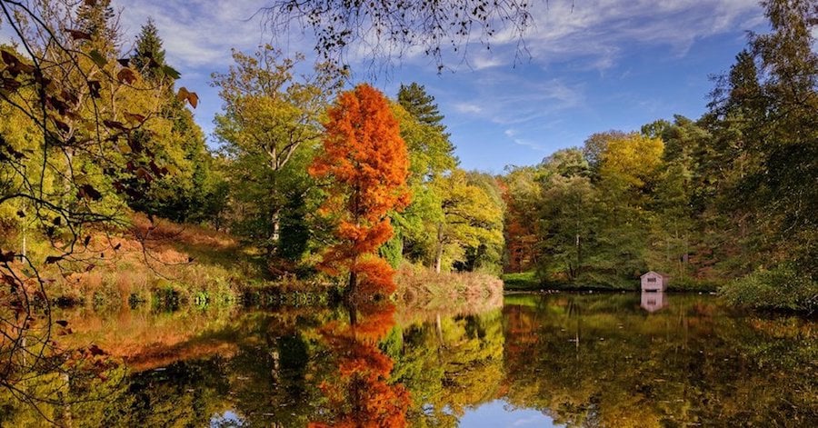 Colour pop! Best local spots where you can admire the autumn colours