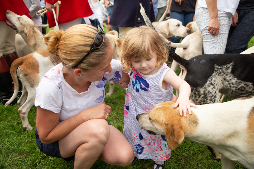 Six reasons to visit the South Of England Show