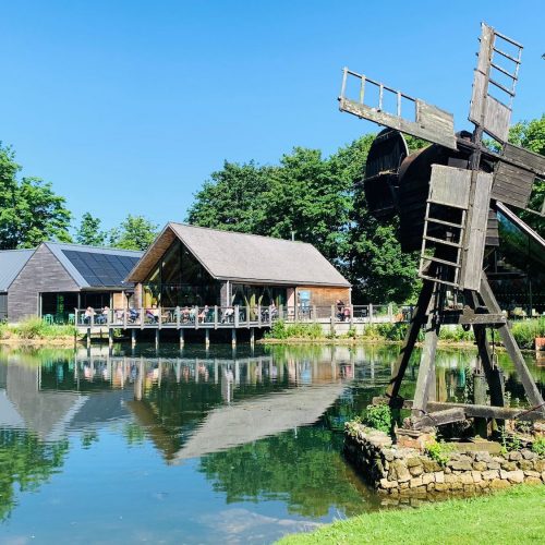 8 reasons to visit Weald &amp; Downland Living Museum