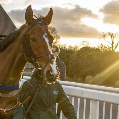 Giddy up! 5 reasons why the season finale at Plumpton Racecourse is the ultimate family day out