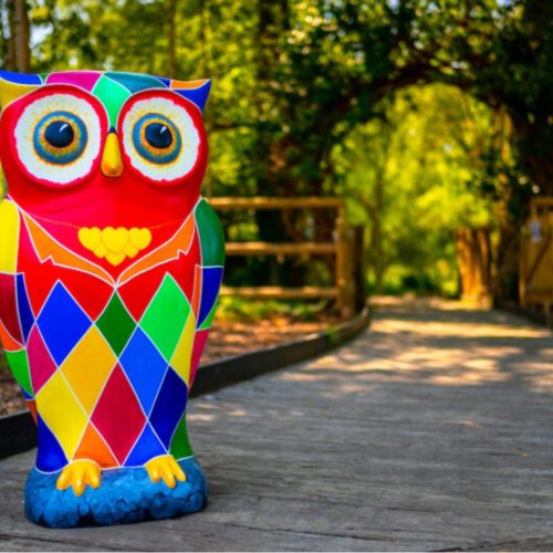 Twit twoo! 5 reasons why you need to head to free family art trail, The Big Hoot