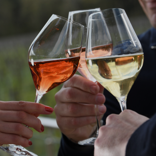 Celebrate English Wine Week in style at Bolney Wine Estate