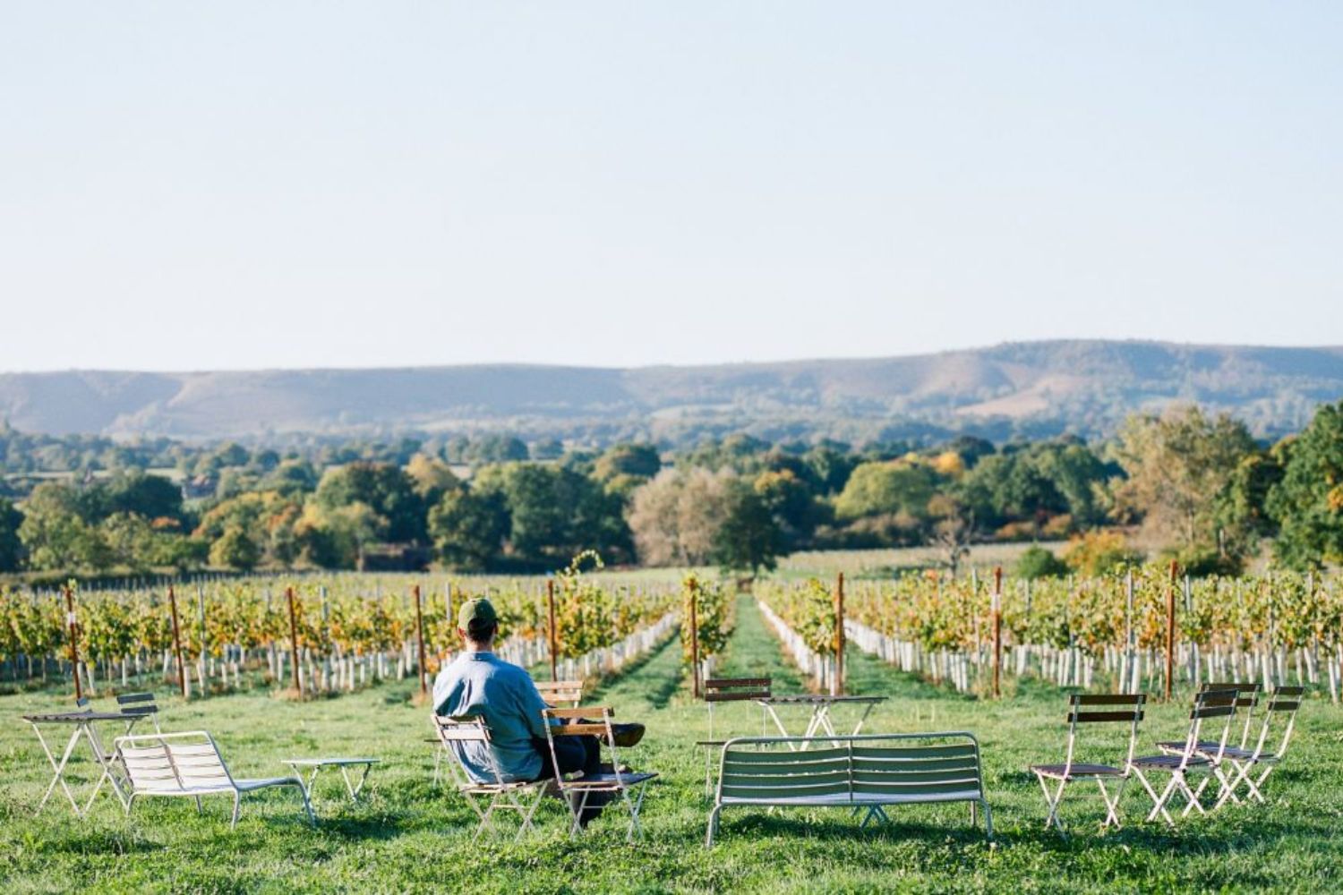 Grape expectations! The best vineyards in Sussex selected by wine ...