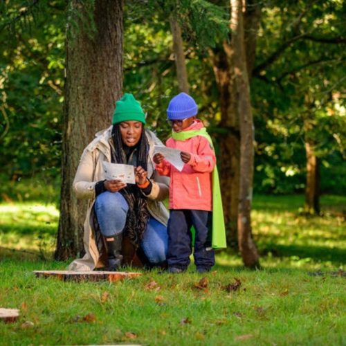 Happy families! What to do locally this October half term at Wakehurst