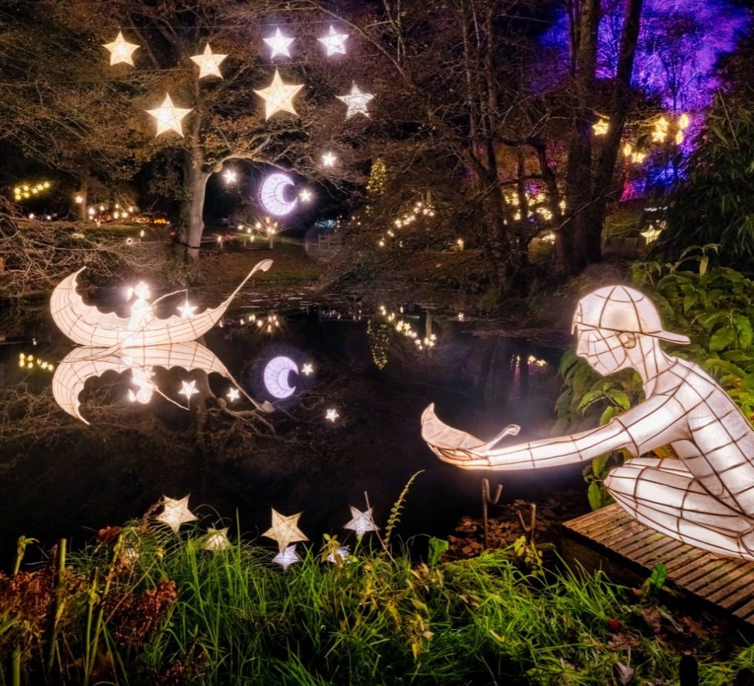 Shine bright! Why you need to head to the Christmas light trail, Glow Wild, at Wakehurst