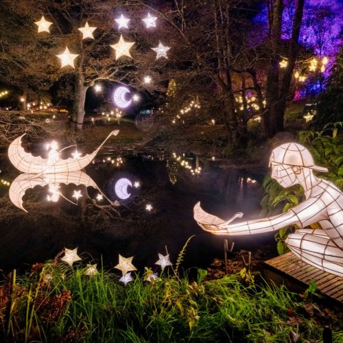 Shine bright! Why you need to head to the Christmas light trail, Glow Wild, at Wakehurst