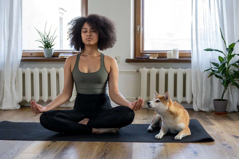 Five ways to become more Zen