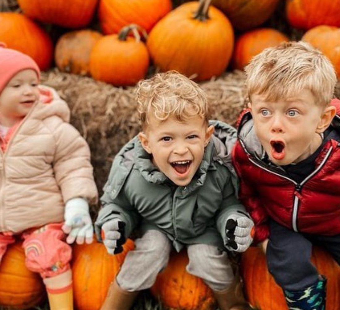 You’re gourd-geous! 13 places to PYO pumpkins in Warks and the West Mids