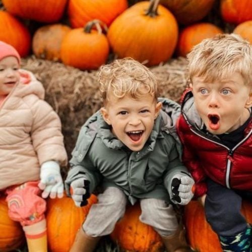 You're gourd-geous! 13 places to PYO pumpkins in Warks and the West Mids