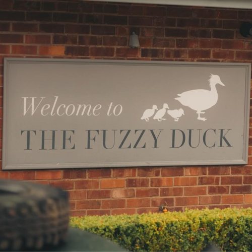 Review: The Fuzzy Duck, Armscote