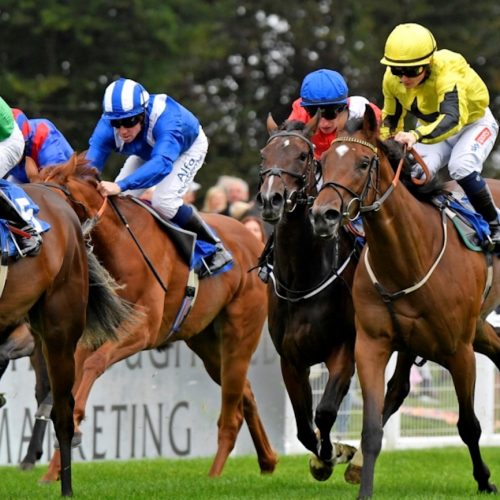 Review: A day at the races at Salisbury Racecourse