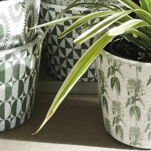 Gert Lush! Hang onto summer with 7 frondy homeware finds
