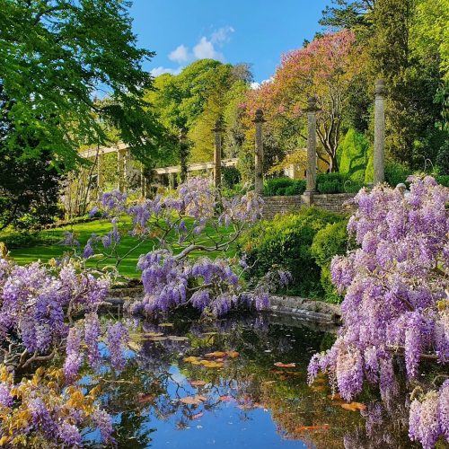 Awesome April! 20+ things to do in Wiltshire this month 