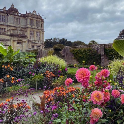 5 glorious gardens with afternoon teas in Wiltshire  