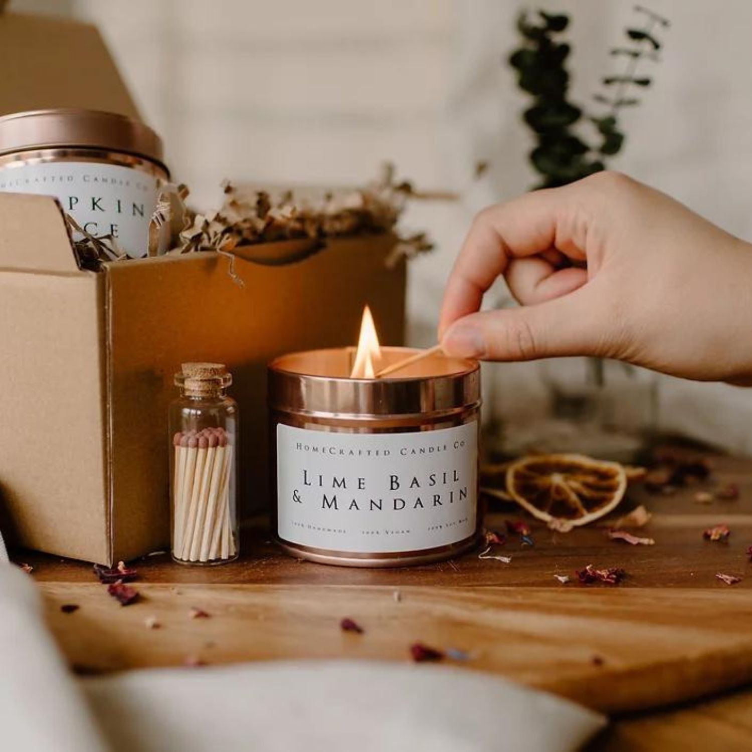 Thinking of You Care Package Care Package for Her Live Succulent Soy Wood  Wick Candle caring Box 