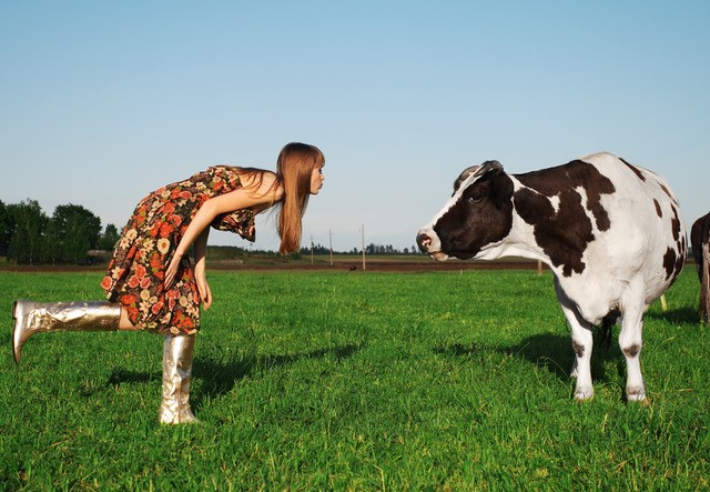 Cow & Girl