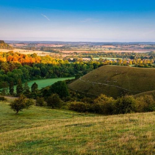 Blow out the cobwebs! 10 country walks less than 2 hours from London