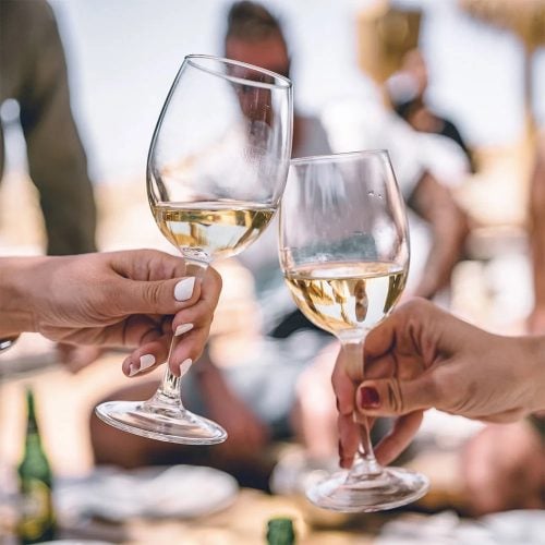 Win £342 wine lover’s bundle! A year’s Wine Club membership + a Magnum of Côtes de Provence Rosé