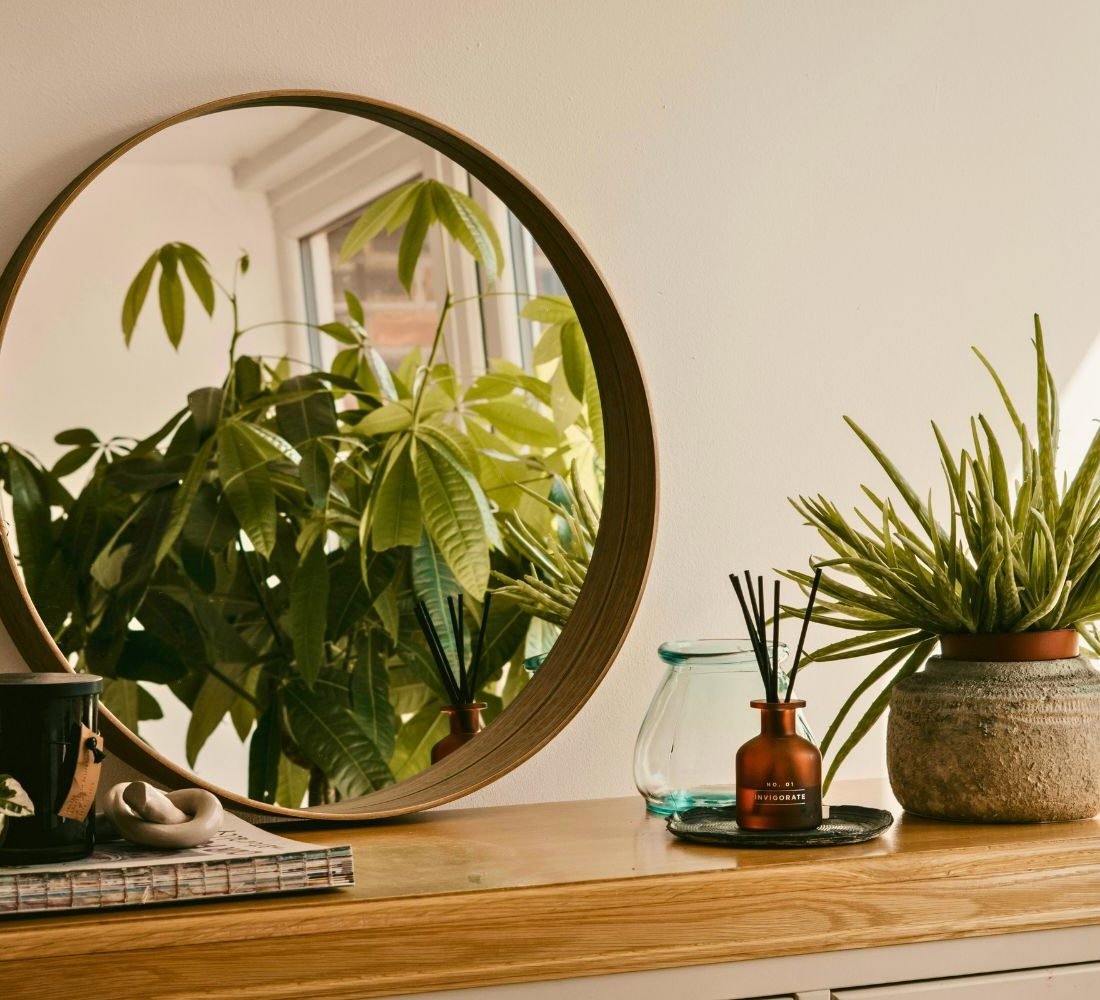 5 easy-to-grow house plants (and how to keep them alive)