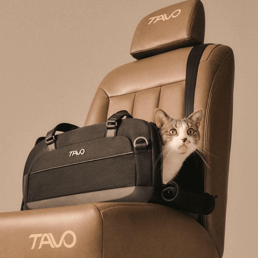 Tavo Pets Dupree luxury pet carrier and car seat