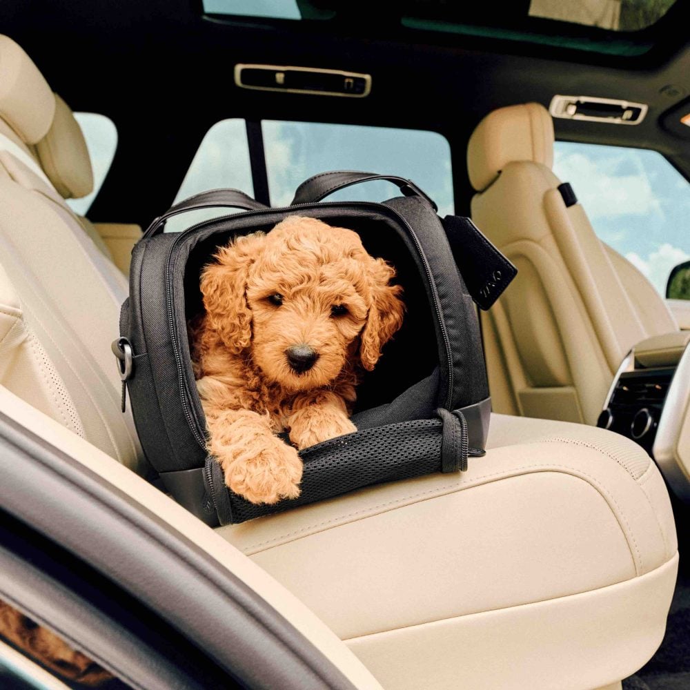 Tavo Dupree luxury pet carrier cockapoo puppy in carrier in car